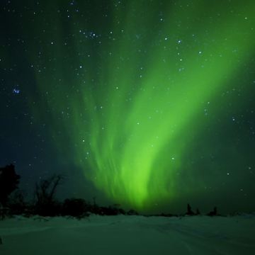 美国西雅图+阿拉斯加州10日跟团游 美国西雅图+阿拉斯加州10日跟团游