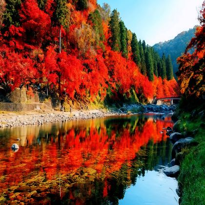 名古屋+新穗高缆车+草津温泉+下吕温泉+白川乡+高山阵屋+香岚溪+松本城8日7晚拼小团 名古屋+新穗高缆车+草津温泉+下吕温泉+白川乡+高山阵屋+香岚溪+松本城8日7晚拼小团