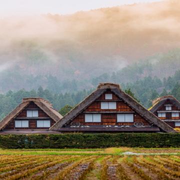 日本大阪+东京+富士山+京都+奈良+宇治市+白川乡7日6晚跟团游 日本大阪+东京+富士山+京都+奈良+宇治市+白川乡7日6晚跟团游