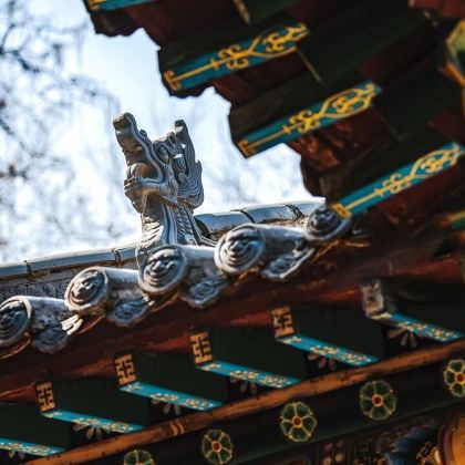 壶口瀑布+平遥县+大同+五台山6日5晚拼小团 壶口瀑布+平遥县+大同+五台山6日5晚拼小团