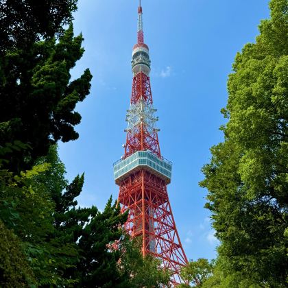日本东京+富士山5日4晚私家团 日本东京+富士山5日4晚私家团