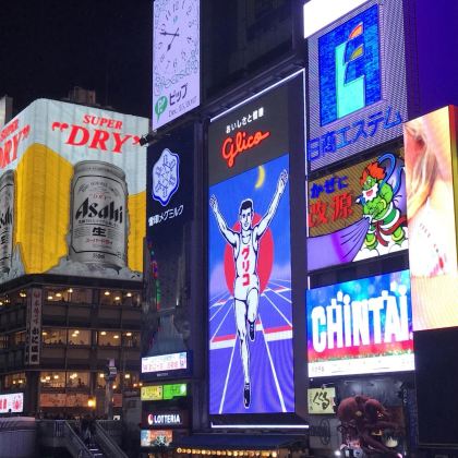 日本京都+奈良+大阪+白滨町+和歌山市9日8晚自由行 日本京都+奈良+大阪+白滨町+和歌山市9日8晚自由行