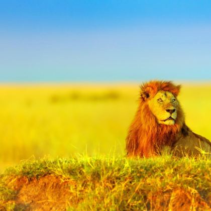 肯尼亚12日11晚私家团 肯尼亚12日11晚私家团