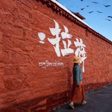 拉萨+布达拉宫+林芝+大峡谷+羊卓雍错8日7晚跟团游 拉萨+布达拉宫+林芝+大峡谷+羊卓雍错8日7晚跟团游