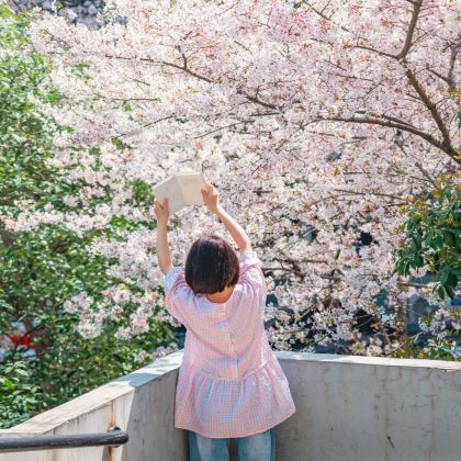 武汉+黄鹤楼+长江三峡+三峡大坝+恩施大峡谷6日5晚跟团游 武汉+黄鹤楼+长江三峡+三峡大坝+恩施大峡谷6日5晚跟团游