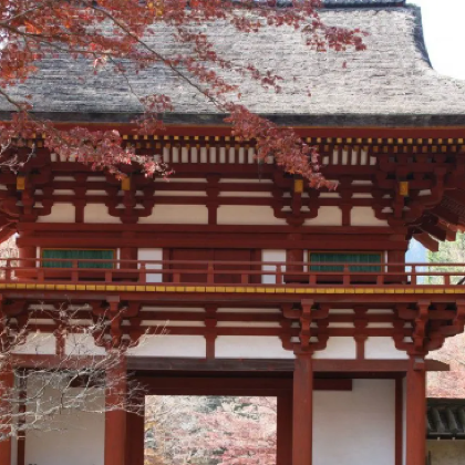 东京+大阪府+京都府+富士山+奈良6日5晚跟团游 东京+大阪府+京都府+富士山+奈良6日5晚跟团游