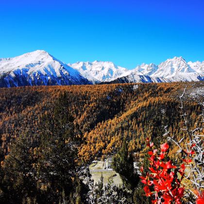 丽江+香格里拉+梅里雪山5日4晚拼小团 丽江+香格里拉+梅里雪山5日4晚拼小团