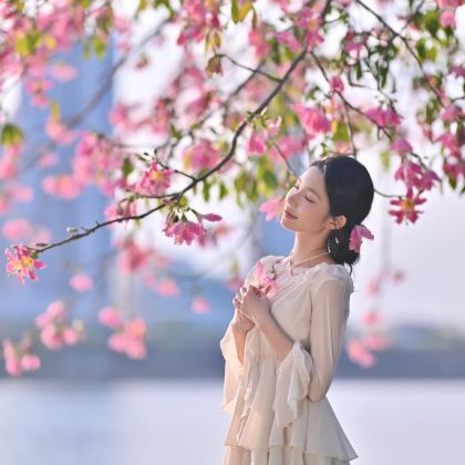 厦门+鼓浪屿+福建土楼5日4晚拼小团 厦门+鼓浪屿+福建土楼5日4晚拼小团