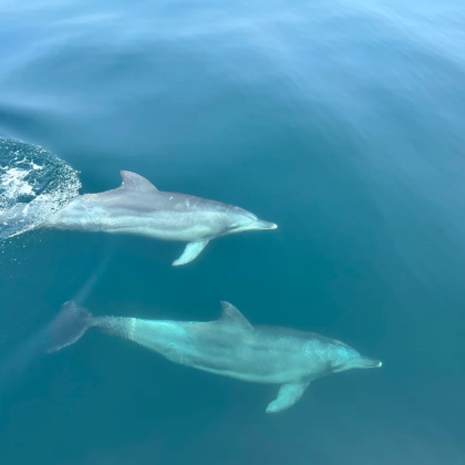 日本福冈+阿苏市+熊本+岛原市+长崎5日4晚私家团 日本福冈+阿苏市+熊本+岛原市+长崎5日4晚私家团