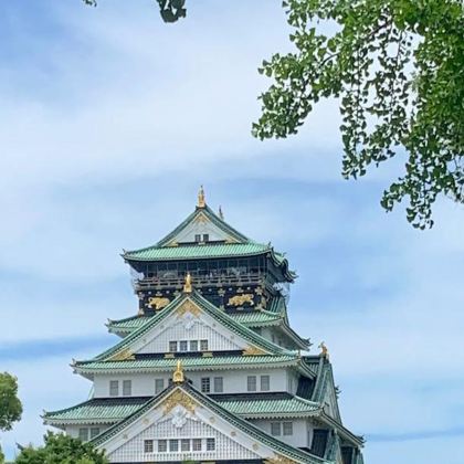 日本东京+富士山+伊豆+京都+神户8日7晚拼小团 日本东京+富士山+伊豆+京都+神户8日7晚拼小团