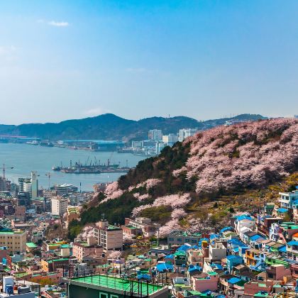 韩国釜山7日6晚私家团 韩国釜山7日6晚私家团