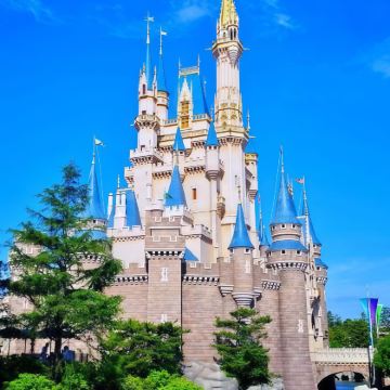 日本东京+富士河口湖町+东京迪士尼乐园6日5晚拼小团 日本东京+富士河口湖町+东京迪士尼乐园6日5晚拼小团