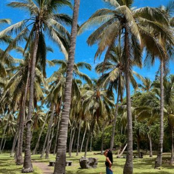 留尼汪(法属)3日2晚拼小团 留尼汪(法属)3日2晚拼小团
