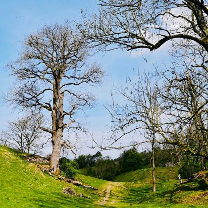 英国曼彻斯特+约克+纽卡斯尔+温德米尔+格拉辛顿+惠特百+利物浦6日5晚拼小团 英国曼彻斯特+约克+纽卡斯尔+温德米尔+格拉辛顿+惠特百+利物浦6日5晚拼小团