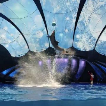 美国亚特兰大+可口可乐博物馆+佐治亚水族馆6日4晚拼小团 美国亚特兰大+可口可乐博物馆+佐治亚水族馆6日4晚拼小团