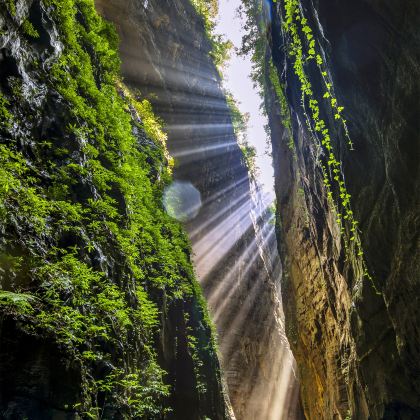重庆+武隆区5日4晚拼小团 重庆+武隆区5日4晚拼小团