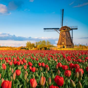 德国+荷兰+丹麦+瑞典+挪威+芬兰17日跟团游 德国+荷兰+丹麦+瑞典+挪威+芬兰17日跟团游