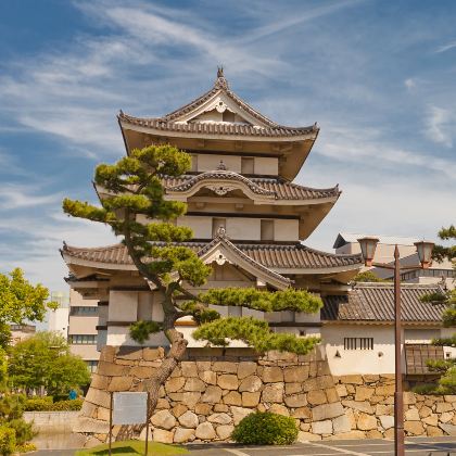 日本四国+高松+高知市+松山+道后温泉12日11晚私家团 日本四国+高松+高知市+松山+道后温泉12日11晚私家团