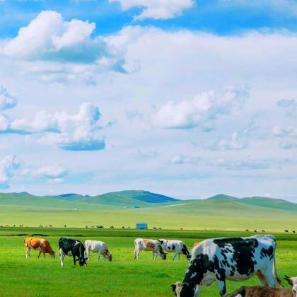 呼伦贝尔+阿尔山5日4晚自由行 呼伦贝尔+阿尔山5日4晚自由行