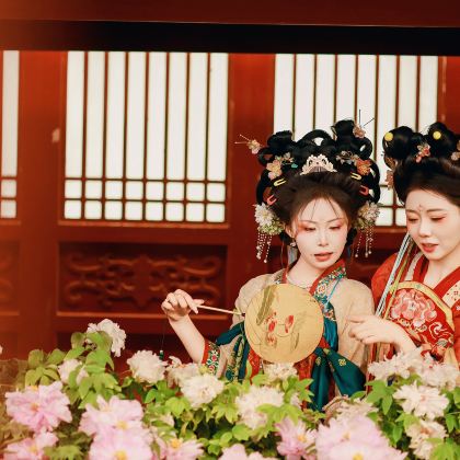 洛阳老君山景区+龙门石窟+白马寺+洛阳博物馆2日1晚跟团游 洛阳老君山景区+龙门石窟+白马寺+洛阳博物馆2日1晚跟团游