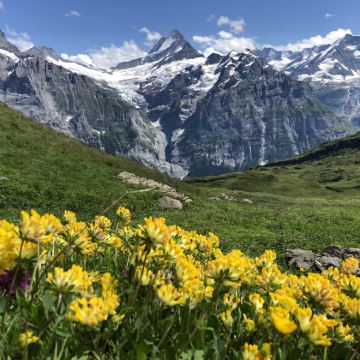 法国+意大利+瑞士+五渔村+米兰大教堂+摩纳哥城+阿维尼翁主教座堂+星光大道15日13晚跟团游 法国+意大利+瑞士+五渔村+米兰大教堂+摩纳哥城+阿维尼翁主教座堂+星光大道15日13晚跟团游