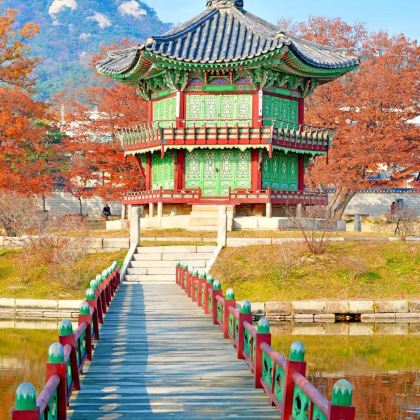 韩国丽水丽水海上缆车6日5晚私家团 韩国丽水丽水海上缆车6日5晚私家团