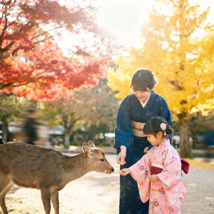 日本大阪+京都5日4晚私家团 日本大阪+京都5日4晚私家团