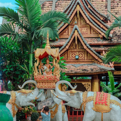 西双版纳+普洱7日6晚自由行 西双版纳+普洱7日6晚自由行