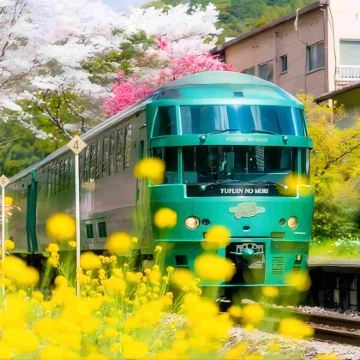 日本九州+北九州+熊本+宫崎+大分+福冈+佐贺8日7晚跟团游 日本九州+北九州+熊本+宫崎+大分+福冈+佐贺8日7晚跟团游