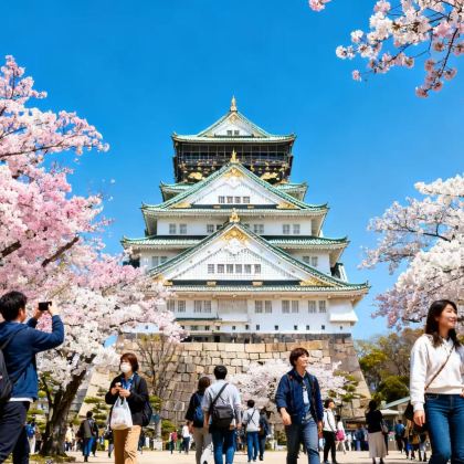 日本札幌+富良野+旭川12日11晚私家团 日本札幌+富良野+旭川12日11晚私家团