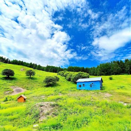 呼伦贝尔+阿尔山4日3晚拼小团 呼伦贝尔+阿尔山4日3晚拼小团