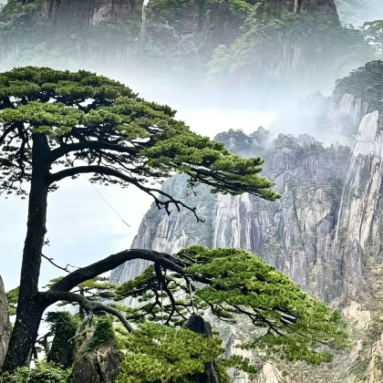 老友社·景德镇-黄山6天5晚|陶溪川+御窑厂+御窑博物馆+雕塑瓷厂+屯溪老街+徽州糕饼博物馆+西溪南漫步+胡开文墨厂+唐模观赏传统鱼灯+缆车游览黄山+漫步宏村+古祠书局 老友社·景德镇-黄山6天5晚|陶溪川+御窑厂+御窑博物馆+雕塑瓷厂+屯溪老街+徽州糕饼博物馆+西溪南漫步+胡开文墨厂+唐模观赏传统鱼灯+缆车游览黄山+漫步宏村+古祠书局