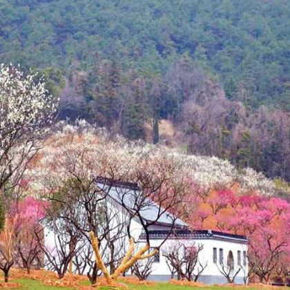 金凤凰温泉度假村+香山景区2日1晚私家团