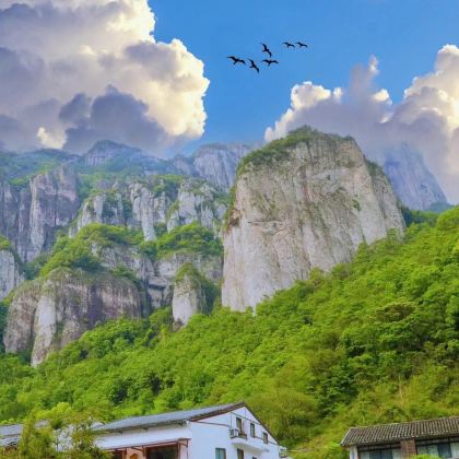 宁波+台州+温州+舟山7日6晚私家团 宁波+台州+温州+舟山7日6晚私家团