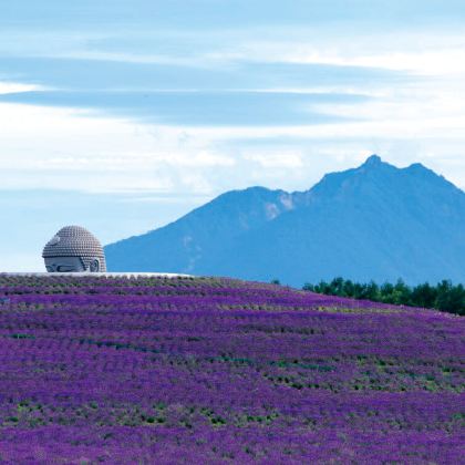 日本北海道6日5晚私家团 日本北海道6日5晚私家团
