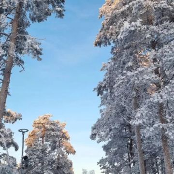 芬兰7日6晚私家团 芬兰7日6晚私家团