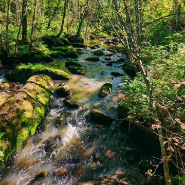 哈尔滨+伊春+汤旺河3日2晚跟团游 哈尔滨+伊春+汤旺河3日2晚跟团游