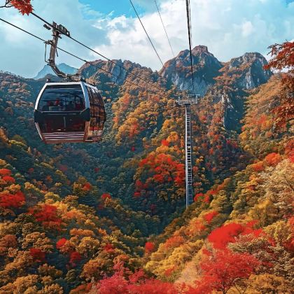 四川成都+阆中古城+光雾山旅游景区+米仓山国家森林公园+成都博物馆4日3晚私家团 四川成都+阆中古城+光雾山旅游景区+米仓山国家森林公园+成都博物馆4日3晚私家团