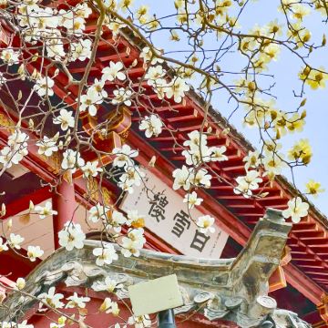 山东济南+曲阜三孔+泰山风景区5日4晚私家团 山东济南+曲阜三孔+泰山风景区5日4晚私家团