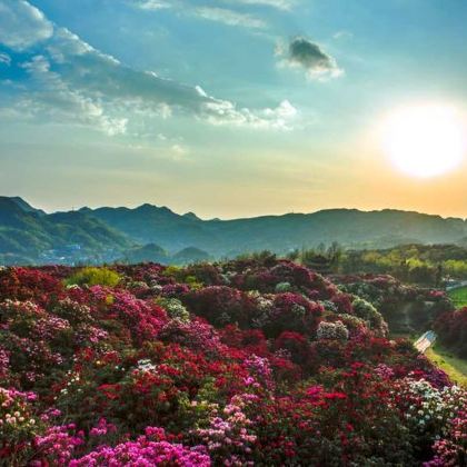 贵州黄果树+兴义+荔波+西江千户苗寨+梵净山8日7晚私家团 贵州黄果树+兴义+荔波+西江千户苗寨+梵净山8日7晚私家团