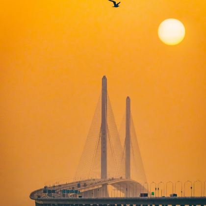 上海崇明岛2日1晚私家团 上海崇明岛2日1晚私家团