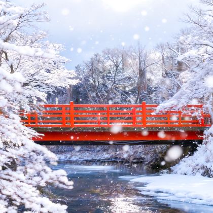 日本京都+大阪8日7晚自由行 日本京都+大阪8日7晚自由行