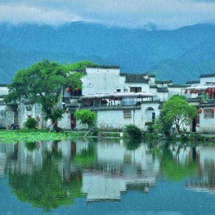 黄山风景区+千岛湖+婺源篁岭+西递+黟县宏村景区6日5晚私家团