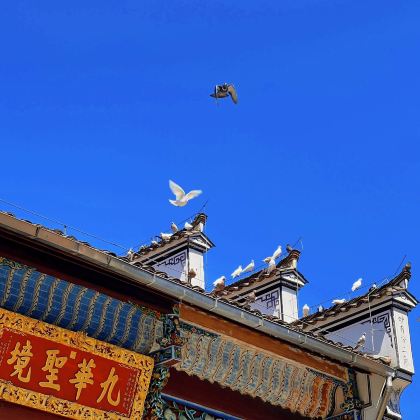 黄山+九华山+宏村4日3晚拼小团 黄山+九华山+宏村4日3晚拼小团