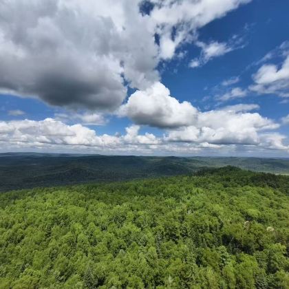 哈尔滨+伊春5日4晚私家团 哈尔滨+伊春5日4晚私家团