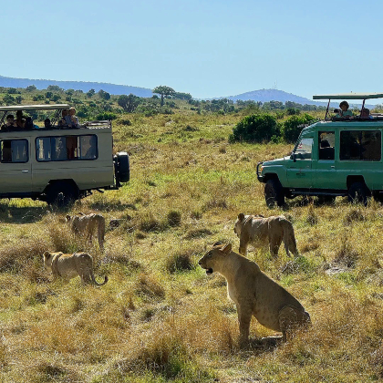 肯尼亚+坦桑尼亚11日9晚私家团 肯尼亚+坦桑尼亚11日9晚私家团