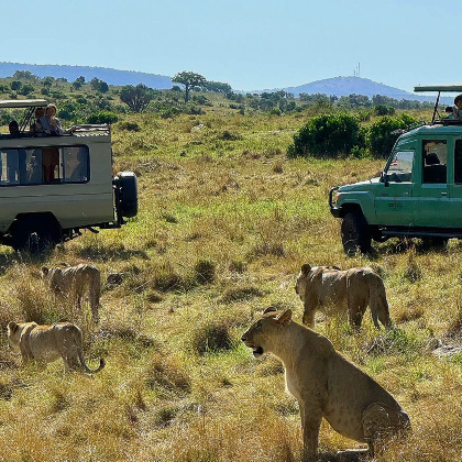 肯尼亚+坦桑尼亚10日9晚私家团 肯尼亚+坦桑尼亚10日9晚私家团