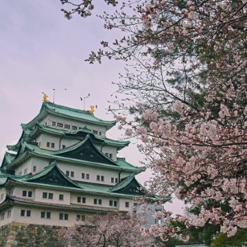 日本名古屋5日4晚自由行 日本名古屋5日4晚自由行