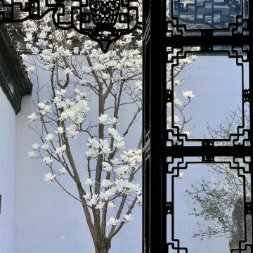 杭州+乌镇+苏州+上海6日5晚私家团 杭州+乌镇+苏州+上海6日5晚私家团