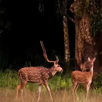 尼泊尔10日9晚跟团游 尼泊尔10日9晚跟团游